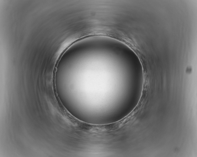 X0000090480099200707272327