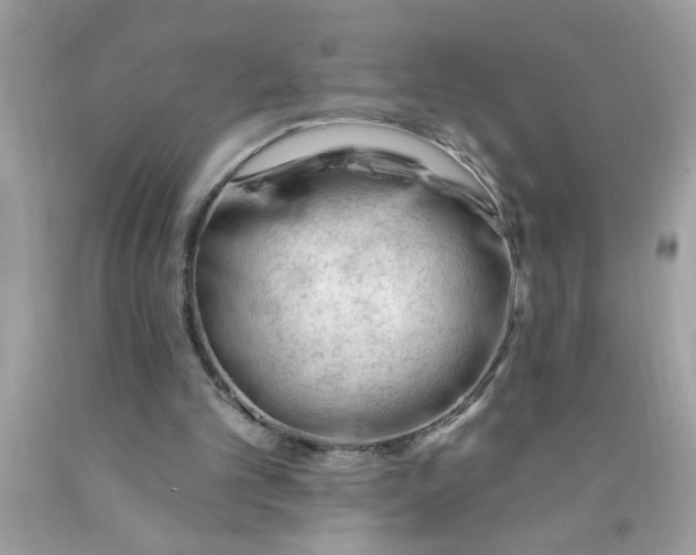 X0000090480101200707272327