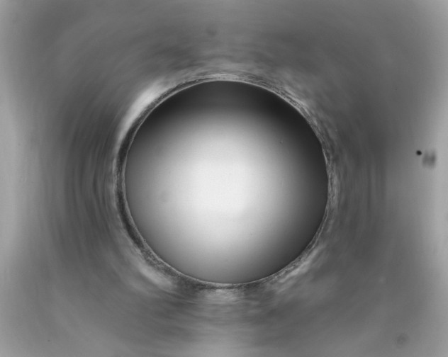X0000090480102200707272327