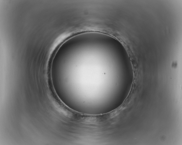 X0000090480104200707272327