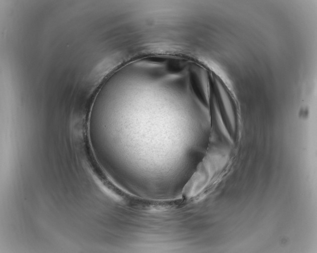 X0000090480105200707272327
