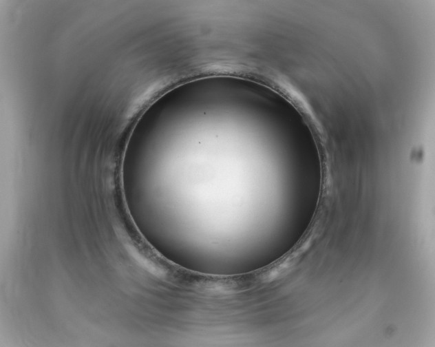X0000090480106200707272327