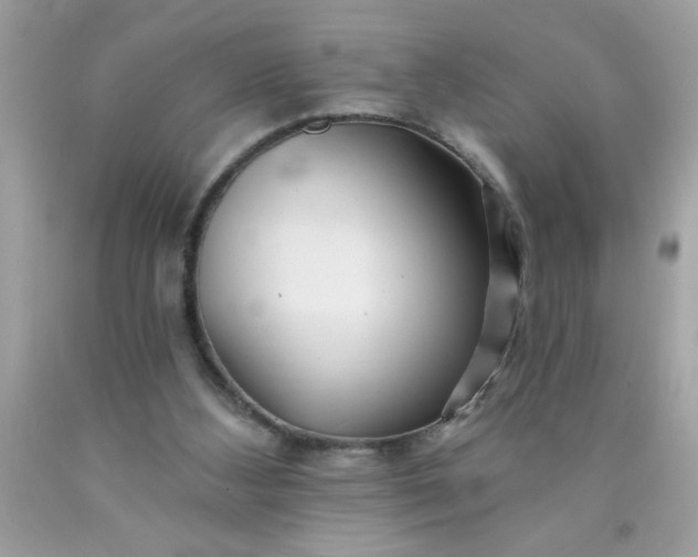 X0000090480108200707272327
