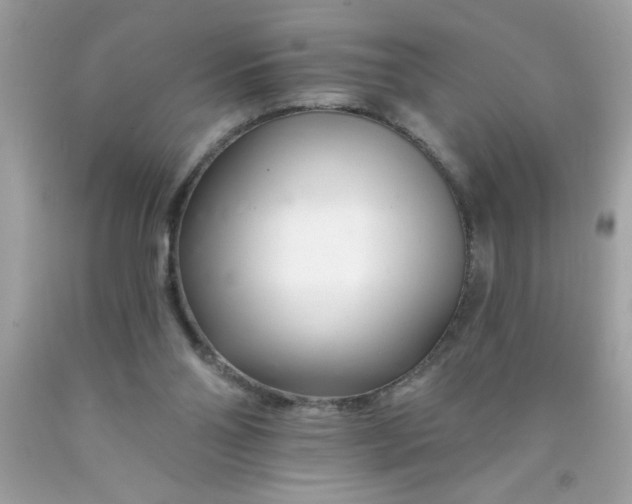 X0000090480110200707272327