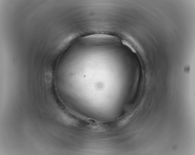 X0000090480113200707272327