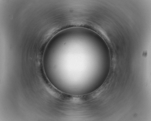 X0000090480114200707272327