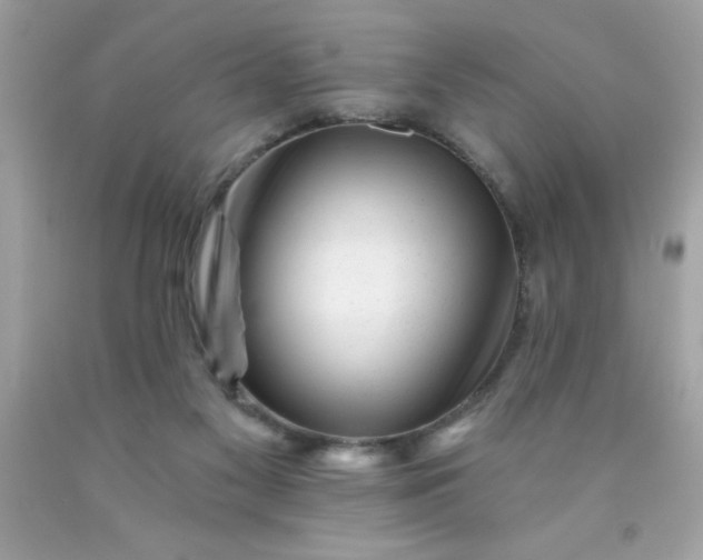 X0000090480117200707272327