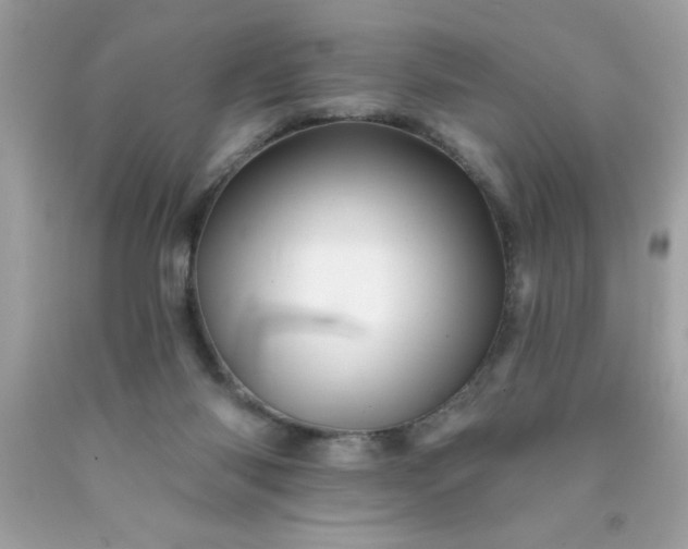 X0000090480118200707272327