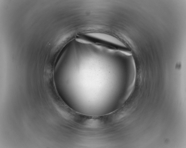 X0000090480119200707272327