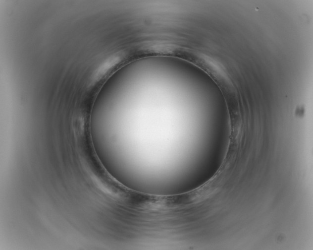X0000090480120200707272327