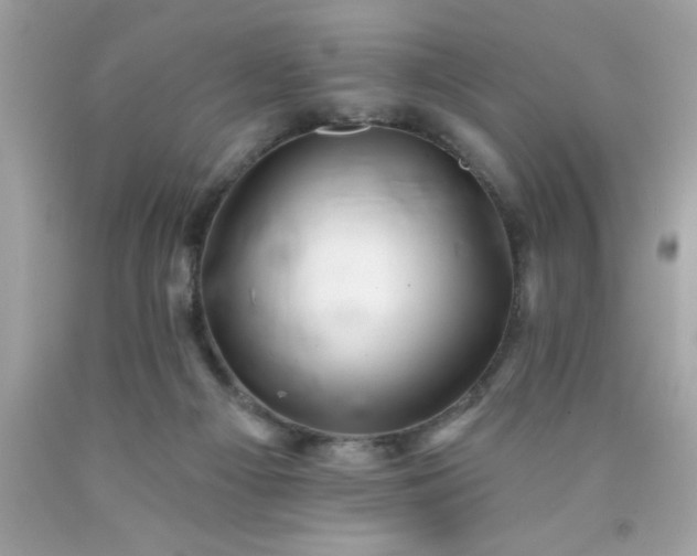 X0000090480121200707272327
