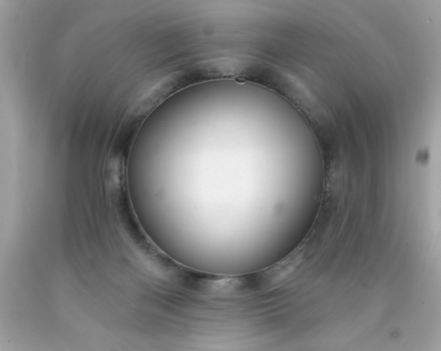 X0000090480122200707272327