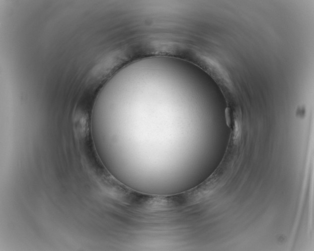 X0000090480123200707272327