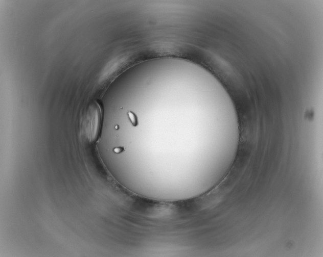 X0000090480124200707272327