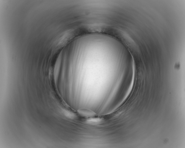 X0000090480125200707272327