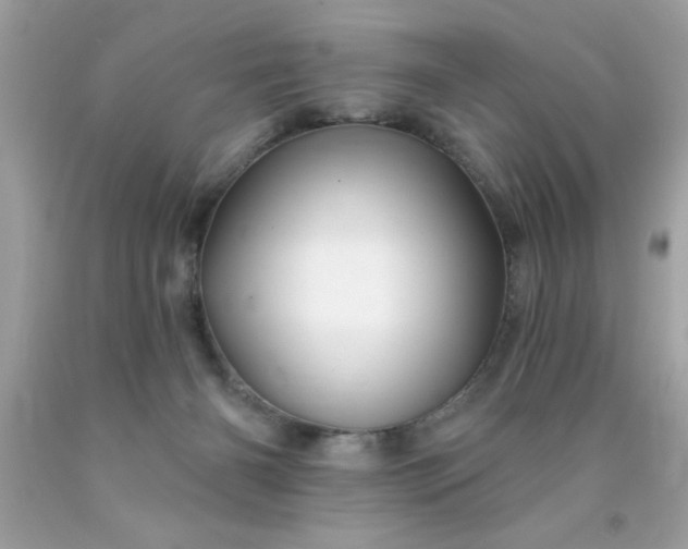 X0000090480126200707272327