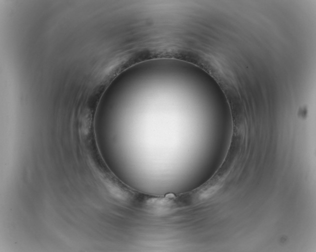 X0000090480133200707272327