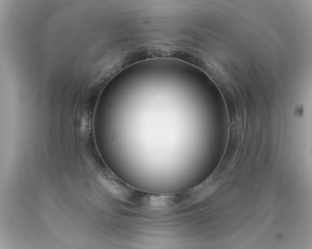 X0000090480134200707272327
