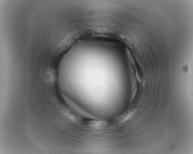 X0000090480135200707272327