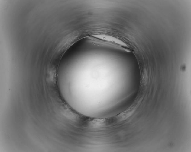 X0000090480138200707272327