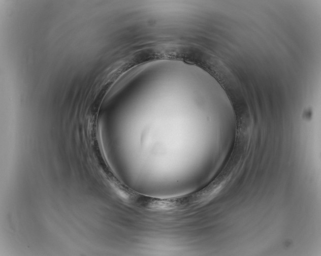 X0000090480139200707272327