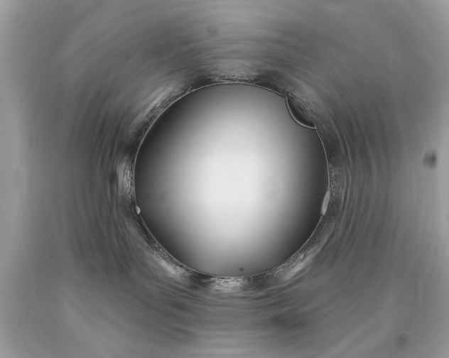 X0000090480143200707272327