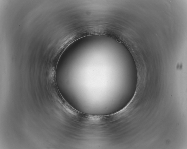 X0000090480144200707272327