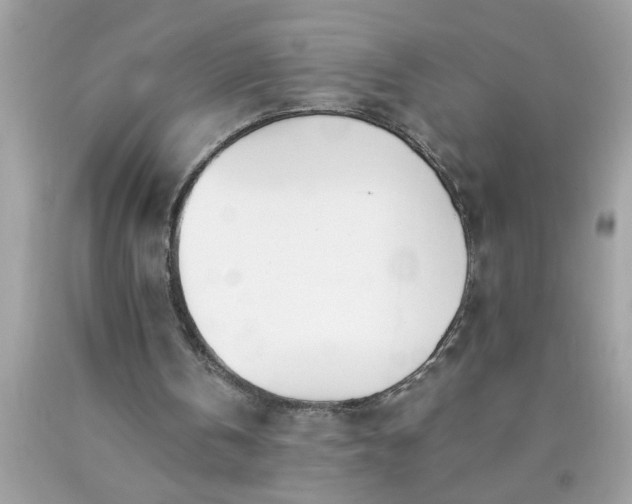 X0000090480146200707272326