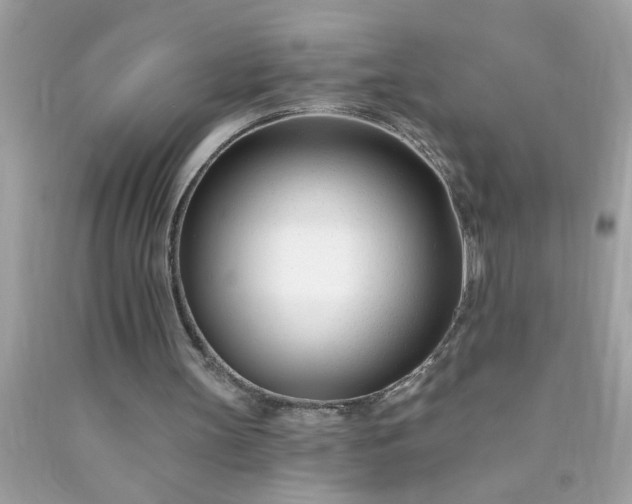 X0000090480147200707272326