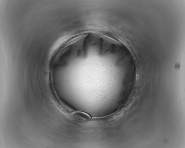 X0000090480149200707272326
