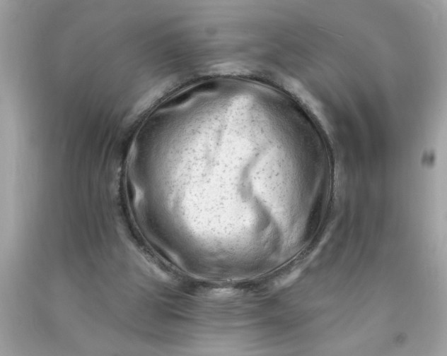 X0000090480153200707272326