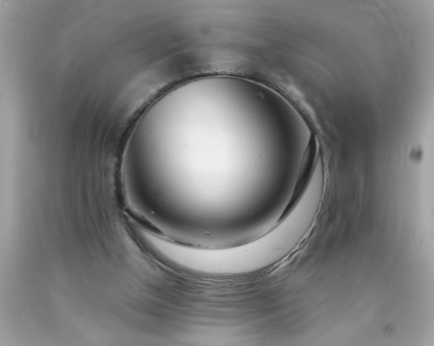 X0000090480154200707272326