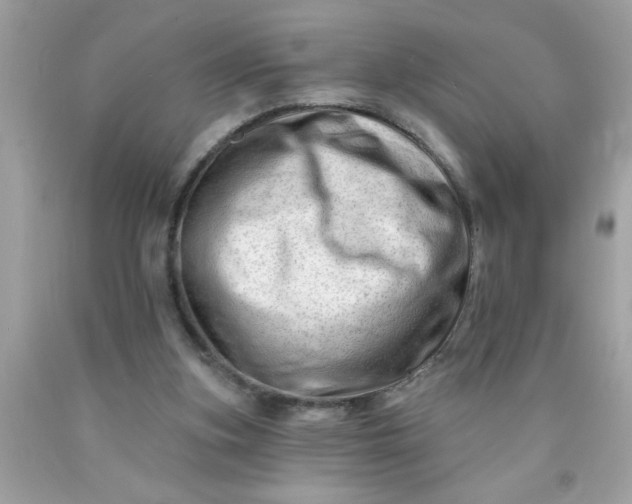 X0000090480155200707272326