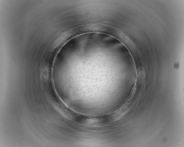 X0000090480158200707272326