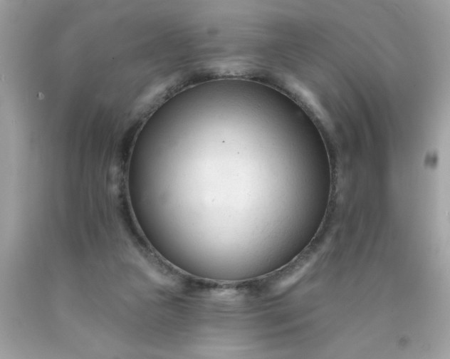 X0000090480161200707272326