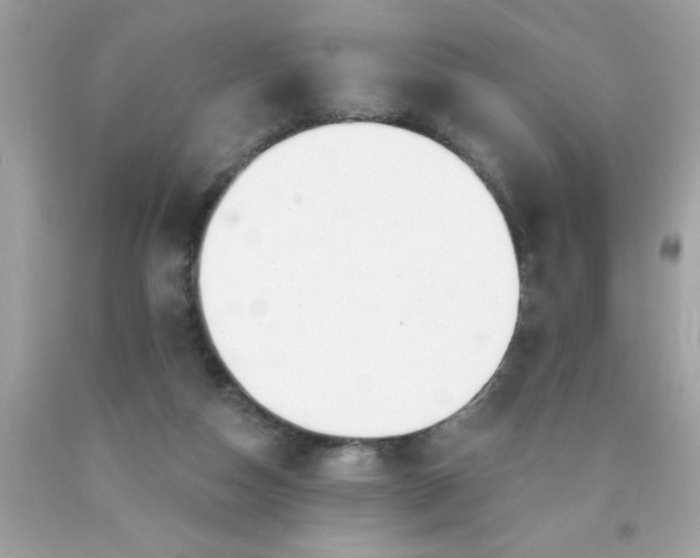 X0000090480162200707272326