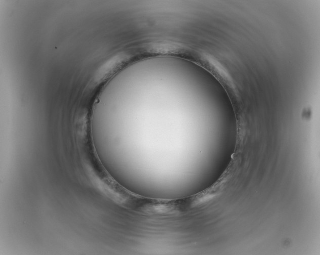 X0000090480163200707272326