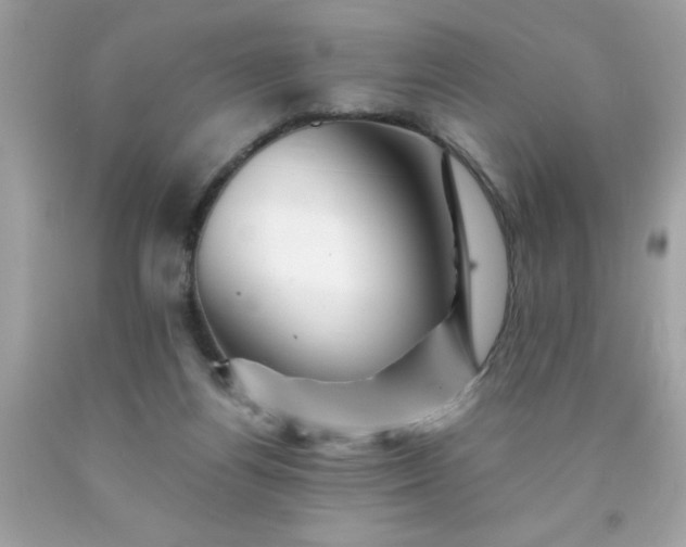 X0000090480164200707272326