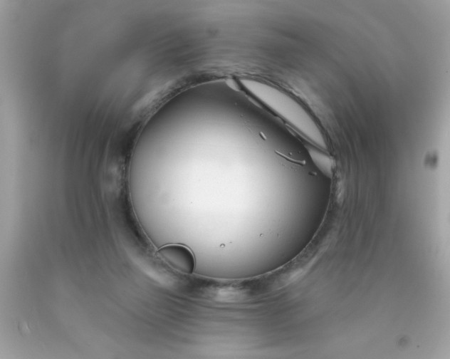 X0000090480165200707272326