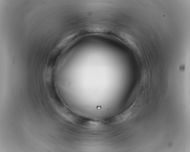 X0000090480167200707272326