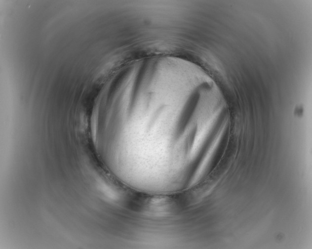 X0000090480173200707272326