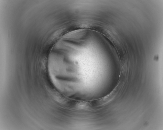 X0000090480175200707272326
