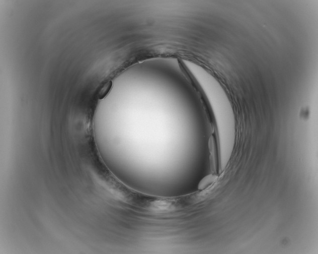 X0000090480176200707272326