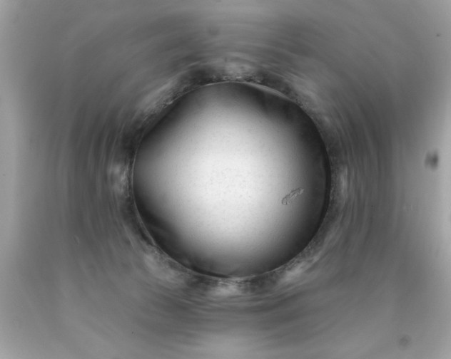 X0000090480177200707272326