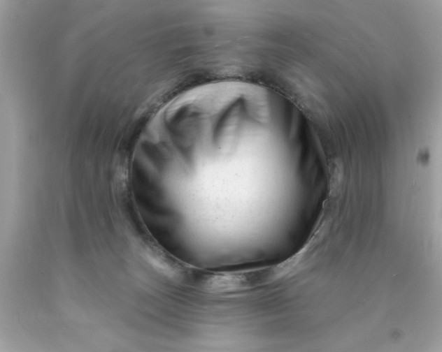 X0000090480179200707272326