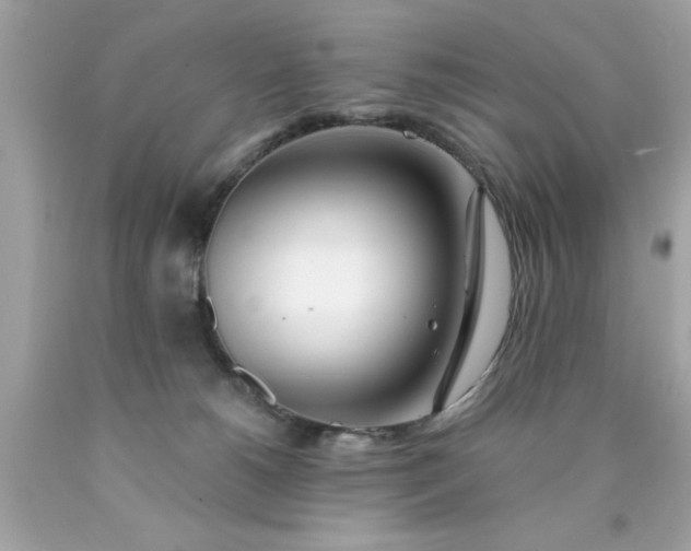X0000090480180200707272327