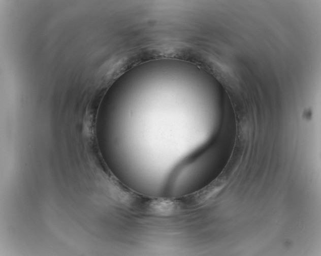 X0000090480181200707272327