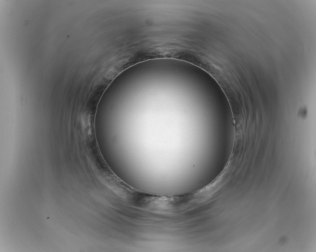X0000090480182200707272327