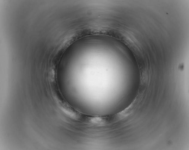 X0000090480183200707272327