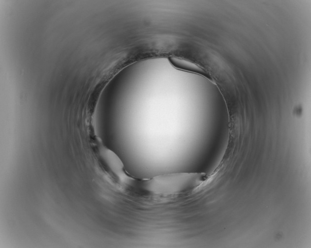 X0000090480184200707272327